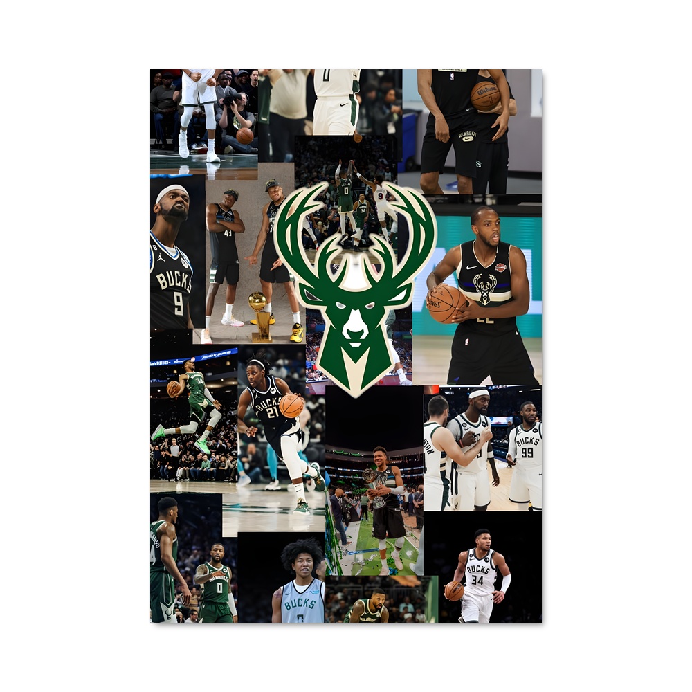 Poster Champs de Glace